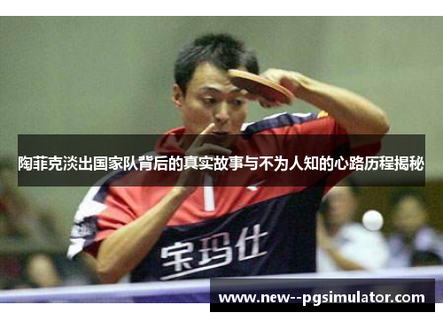 陶菲克淡出国家队背后的真实故事与不为人知的心路历程揭秘