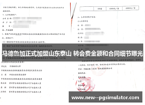 马德鲁加正式加盟山东泰山 转会费金额和合同细节曝光