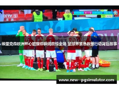 埃里克森欧洲杯心脏骤停瞬间震惊全场 足球界紧急救援行动背后故事