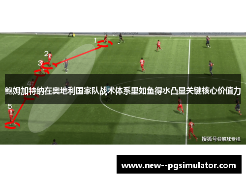 鲍姆加特纳在奥地利国家队战术体系里如鱼得水凸显关键核心价值力 鲍姆加特纳在奥地利国家队战术体系里如鱼得水凸显关键核心价值力