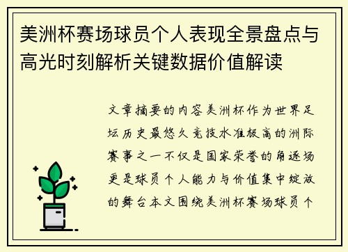 美洲杯赛场球员个人表现全景盘点与高光时刻解析关键数据价值解读
