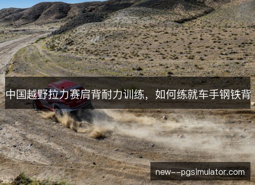 中国越野拉力赛肩背耐力训练，如何练就车手钢铁背