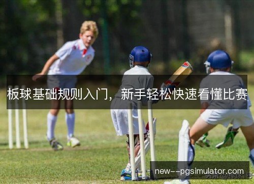 板球基础规则入门，新手轻松快速看懂比赛