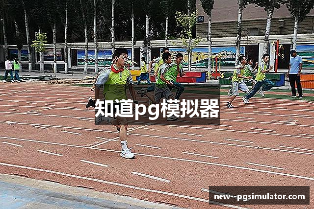 知道pg模拟器